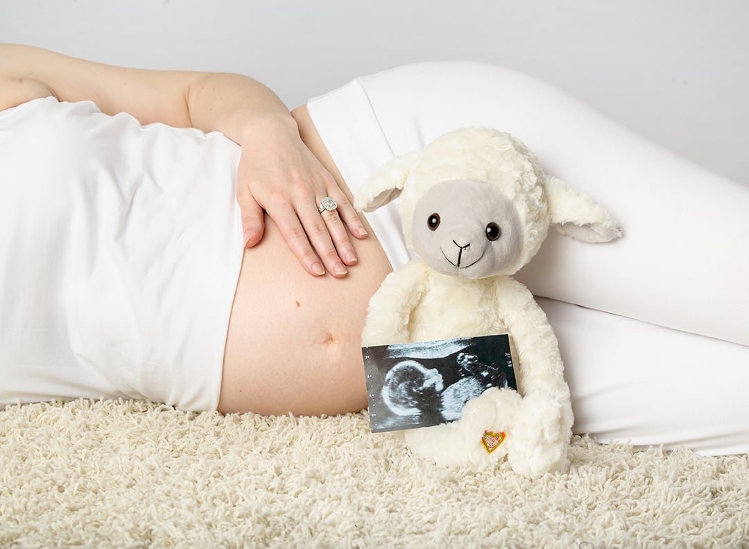Heartbeat animal plush keepsake gift for expecting families in Buffalo NY
